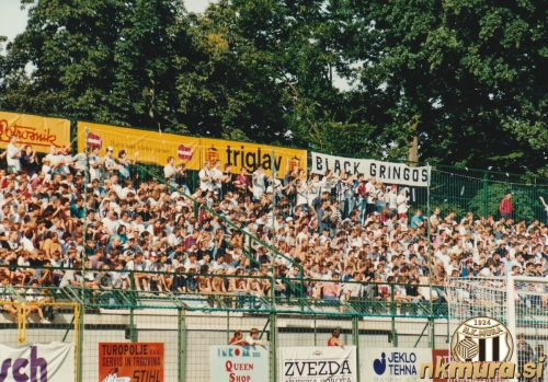 Severna tribuna med tekmo proti Žalgirisu