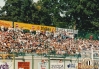 Severna tribuna med tekmo proti Žalgirisu