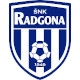 radgona_logo.jpg
