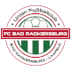 radkersburg_logo_web.png