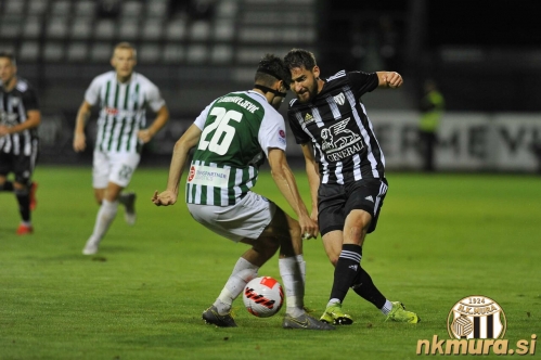 Nik Lorbek in Nemanja Ljubisavljević.