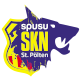 Logo-SKN-HP-spusu_web.png